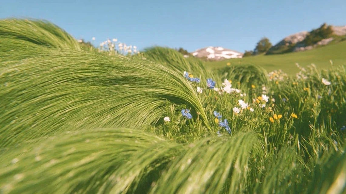 ADIDAS | CLASSIC BACKPACK | LEGEND INK MULTICOLOUR
